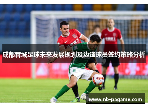 成都蓉城足球未来发展规划及边锋球员签约策略分析