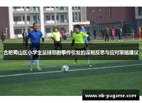 合肥蜀山区小学生足球悲剧事件引发的深刻反思与应对策略建议