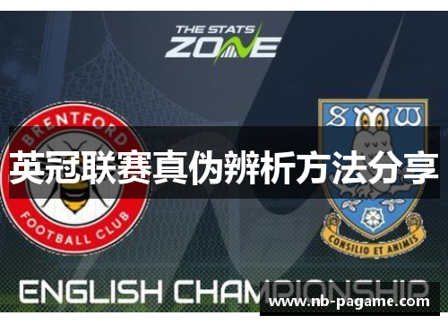 英冠联赛真伪辨析方法分享