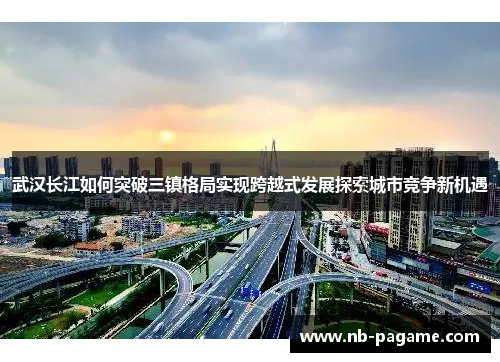 武汉长江如何突破三镇格局实现跨越式发展探索城市竞争新机遇