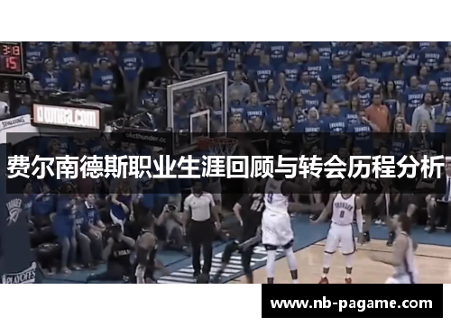 费尔南德斯职业生涯回顾与转会历程分析