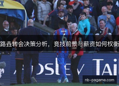 路垚转会决策分析，竞技前景与薪资如何权衡