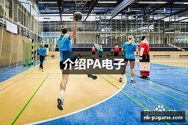 介绍PA电子